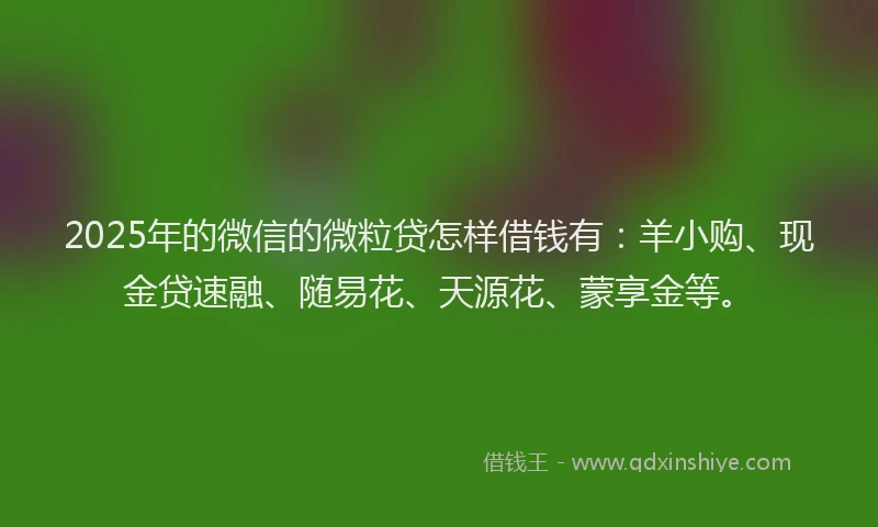 2025年的微信的微粒贷怎样借钱有：羊小购、现金贷速融、随易花、天源花、蒙享金等。