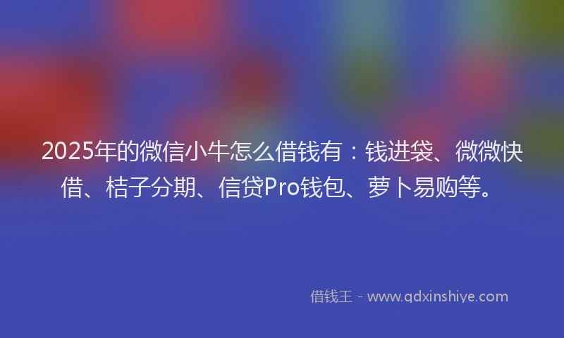 2025年的微信小牛怎么借钱有：钱进袋、微微快借、桔子分期、信贷Pro钱包、萝卜易购等。