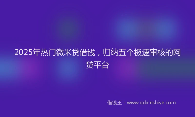 2025年热门微米贷借钱，归纳五个极速审核的网贷平台