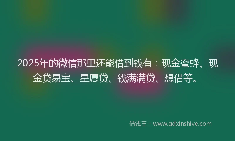 2025年的微信那里还能借到钱有：现金蜜蜂、现金贷易宝、星愿贷、钱满满贷、想借等。