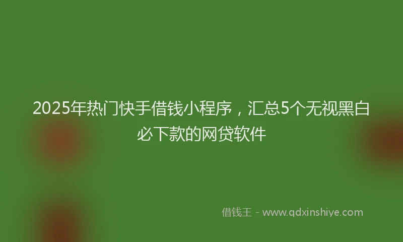 2025年热门快手借钱小程序，汇总5个无视黑白必下款的网贷软件