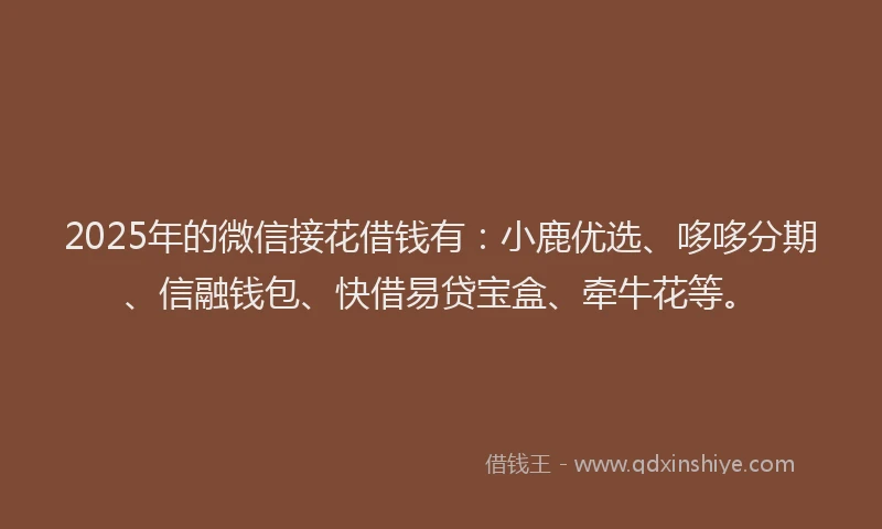2025年的微信接花借钱有：小鹿优选、哆哆分期、信融钱包、快借易贷宝盒、牵牛花等。