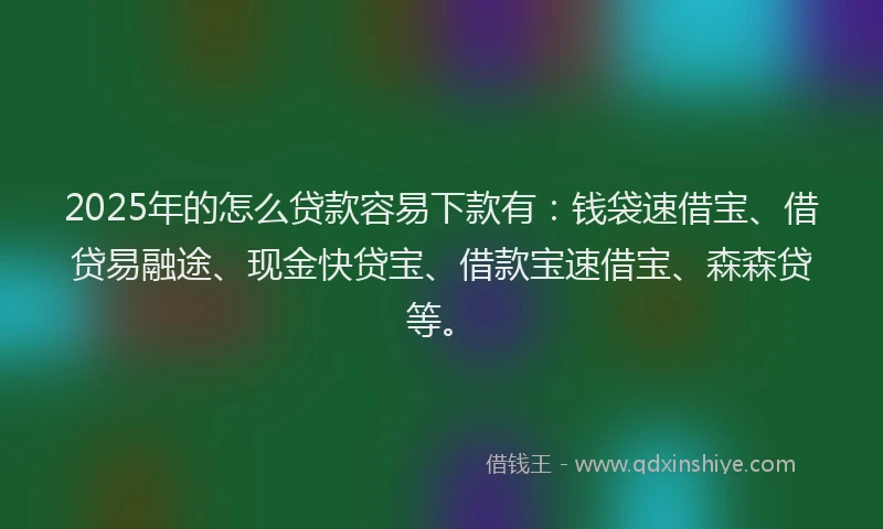 2025年的怎么贷款容易下款有：钱袋速借宝、借贷易融途、现金快贷宝、借款宝速借宝、森森贷等。