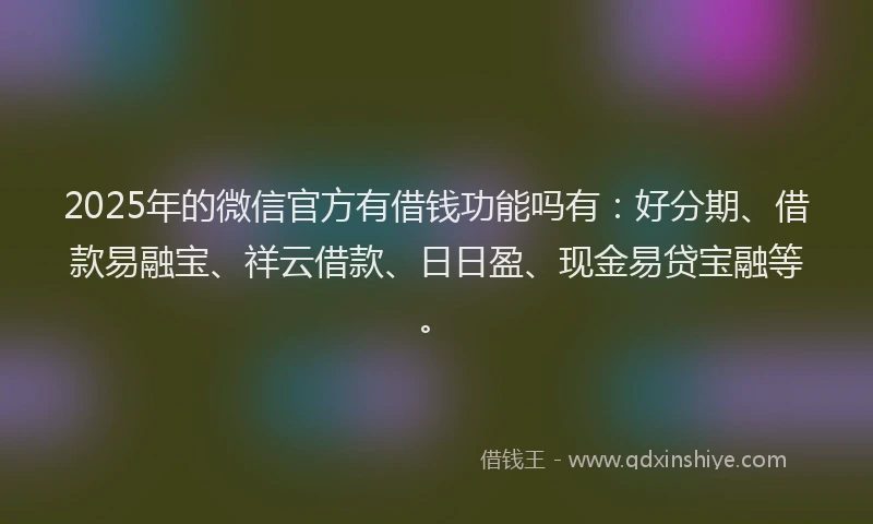 2025年的微信官方有借钱功能吗有：好分期、借款易融宝、祥云借款、日日盈、现金易贷宝融等。