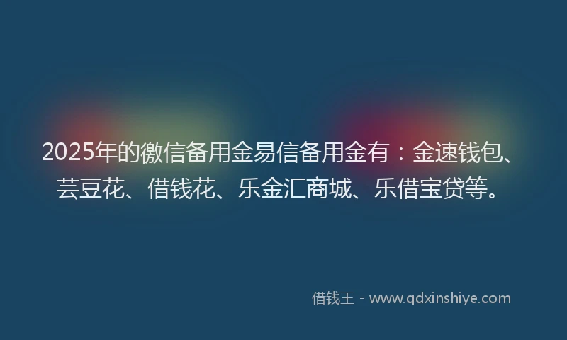 2025年的徼信备用金易信备用金有：金速钱包、芸豆花、借钱花、乐金汇商城、乐借宝贷等。