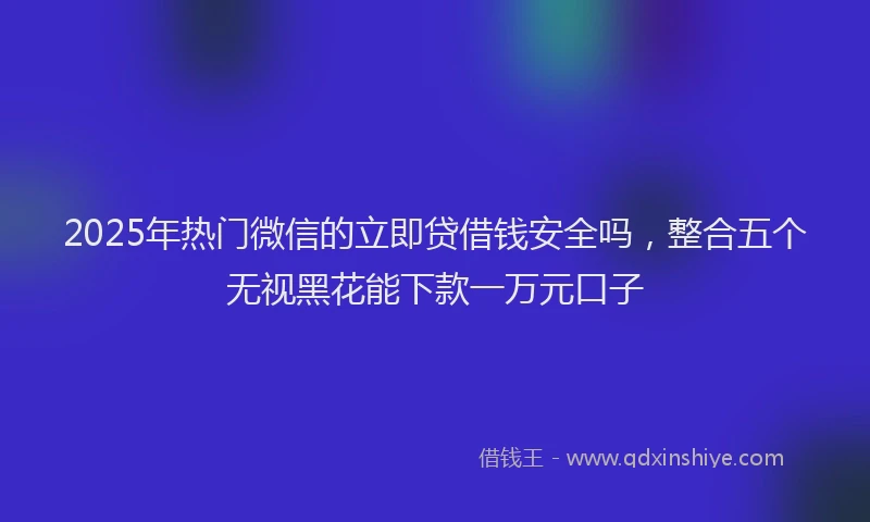 2025年热门微信的立即贷借钱安全吗，整合五个无视黑花能下款一万元口子