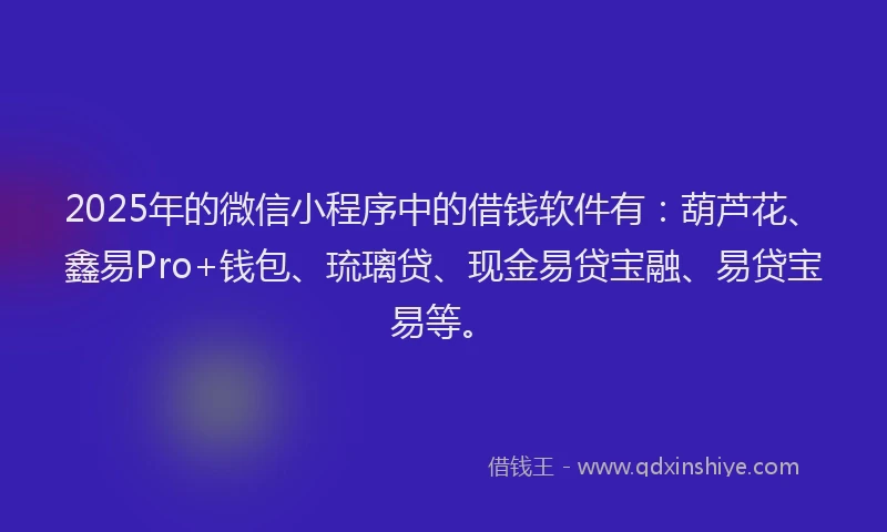 2025年的微信小程序中的借钱软件有：葫芦花、鑫易Pro+钱包、琉璃贷、现金易贷宝融、易贷宝易等。