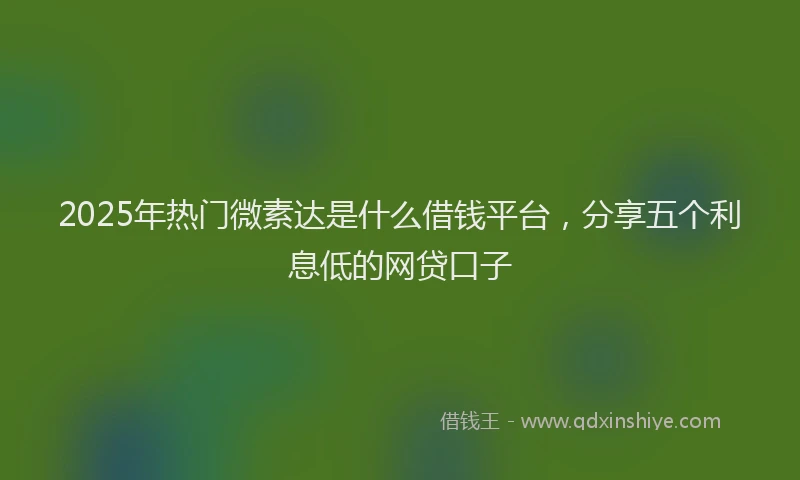 2025年热门微素达是什么借钱平台，分享五个利息低的网贷口子