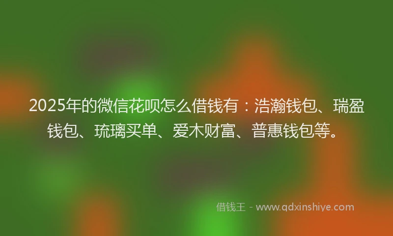 2025年的微信花呗怎么借钱有：浩瀚钱包、瑞盈钱包、琉璃买单、爱木财富、普惠钱包等。