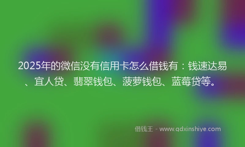2025年的微信没有信用卡怎么借钱有：钱速达易、宜人贷、翡翠钱包、菠萝钱包、蓝莓贷等。