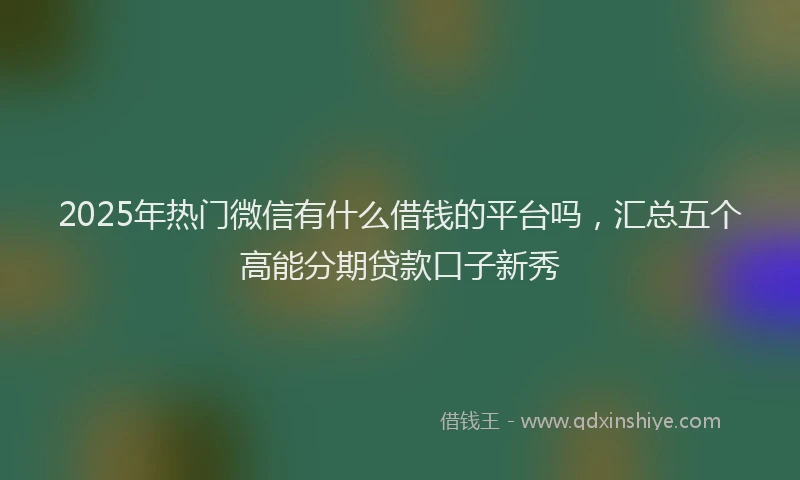 2025年热门微信有什么借钱的平台吗，汇总五个高能分期贷款口子新秀
