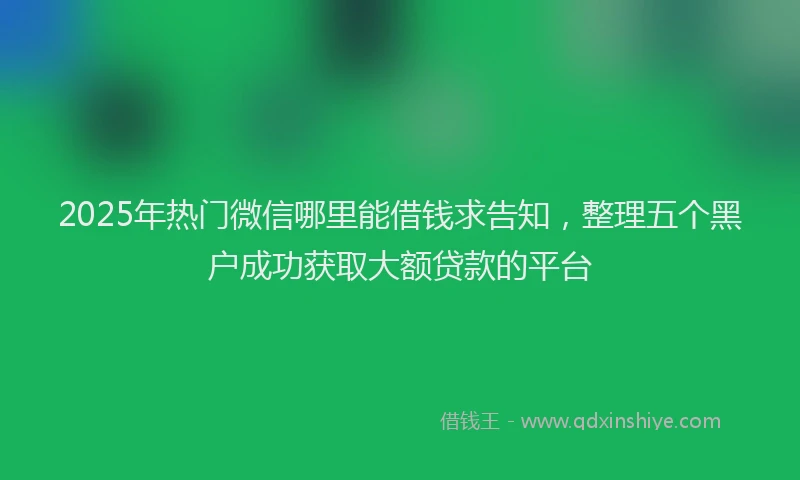 2025年热门微信哪里能借钱求告知，整理五个黑户成功获取大额贷款的平台