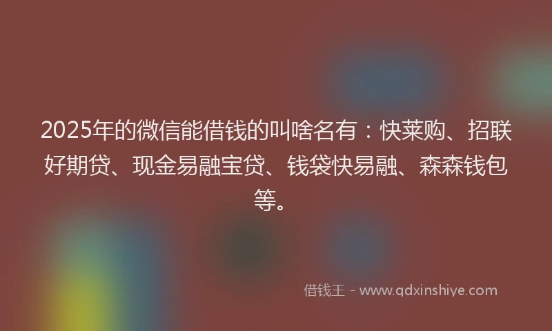 2025年的微信能借钱的叫啥名有：快莱购、招联好期贷、现金易融宝贷、钱袋快易融、森森钱包等。