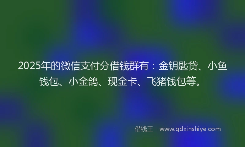 2025年的微信支付分借钱群有：金钥匙贷、小鱼钱包、小金鸽、现金卡、飞猪钱包等。