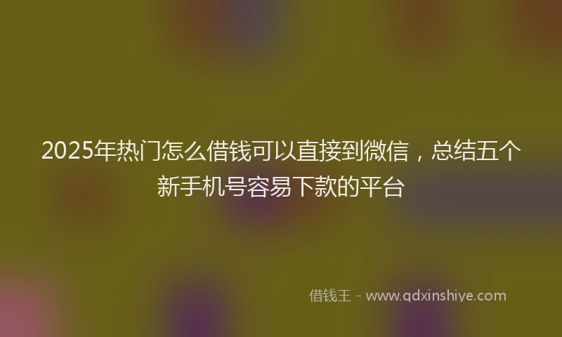 2025年热门怎么借钱可以直接到微信，总结五个新手机号容易下款的平台