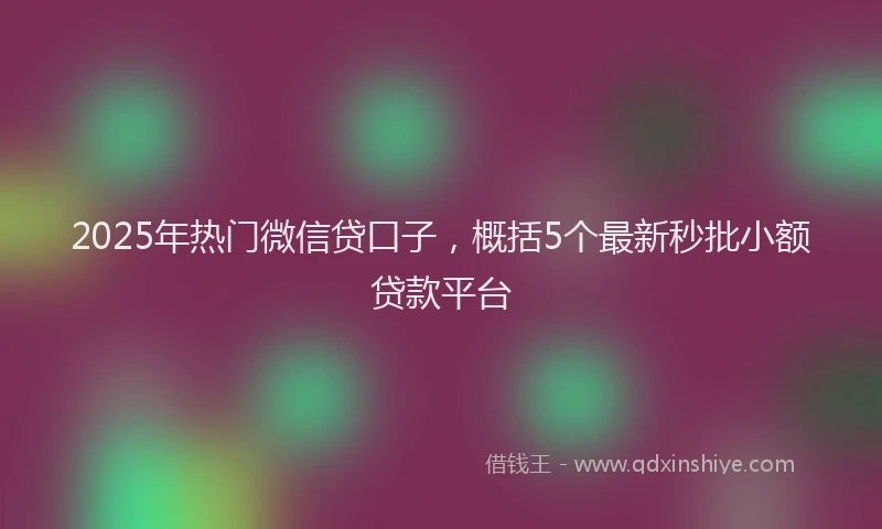 2025年热门微信贷口子，概括5个最新秒批小额贷款平台