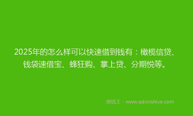 2025年的怎么样可以快速借到钱有：橄榄信贷、钱袋速借宝、蜂狂购、掌上贷、分期悦等。
