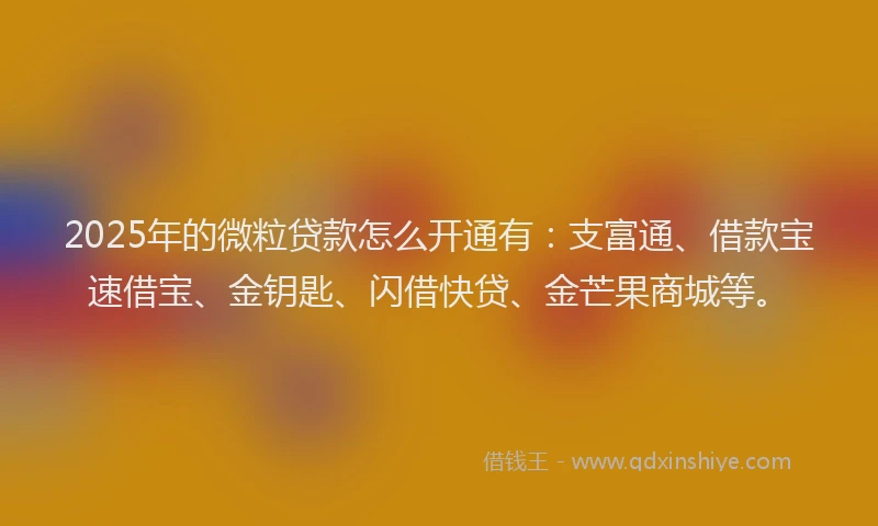 2025年的微粒贷款怎么开通有：支富通、借款宝速借宝、金钥匙、闪借快贷、金芒果商城等。