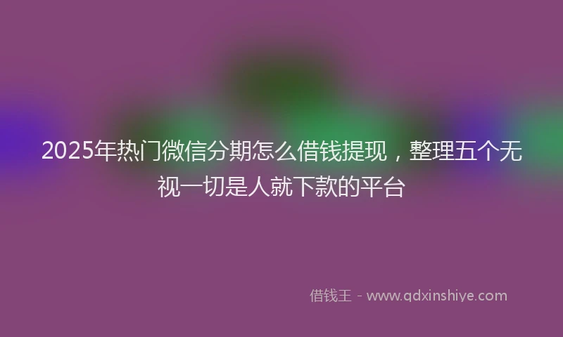 2025年热门微信分期怎么借钱提现，整理五个无视一切是人就下款的平台