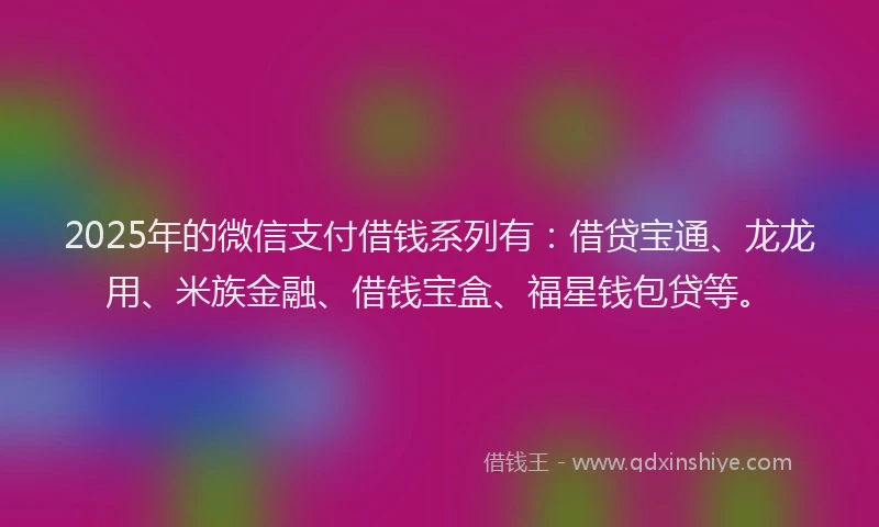 2025年的微信支付借钱系列有：借贷宝通、龙龙用、米族金融、借钱宝盒、福星钱包贷等。