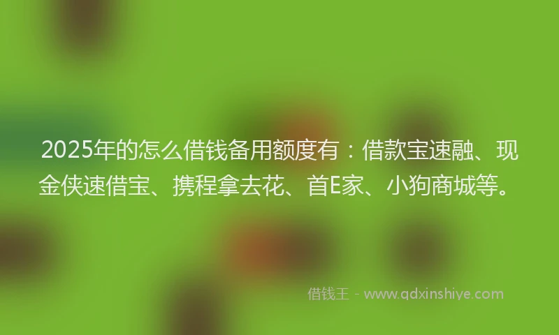 2025年的怎么借钱备用额度有：借款宝速融、现金侠速借宝、携程拿去花、首E家、小狗商城等。