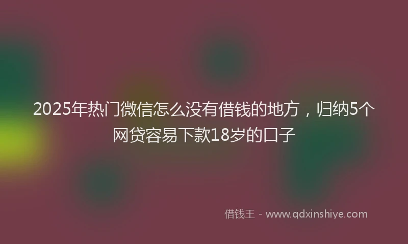 2025年热门微信怎么没有借钱的地方，归纳5个网贷容易下款18岁的口子