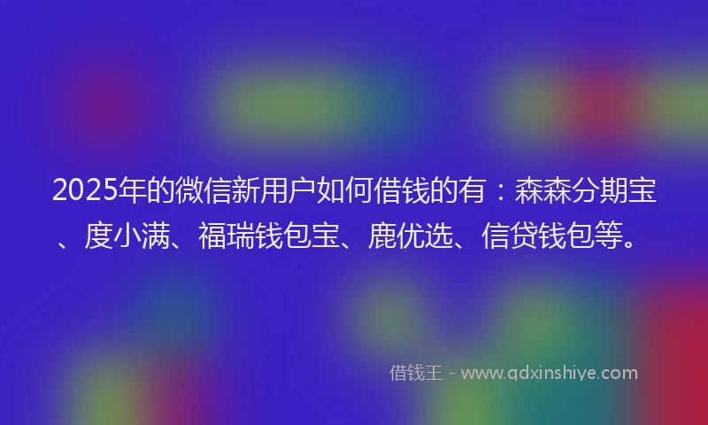 2025年的微信新用户如何借钱的有：森森分期宝、度小满、福瑞钱包宝、鹿优选、信贷钱包等。