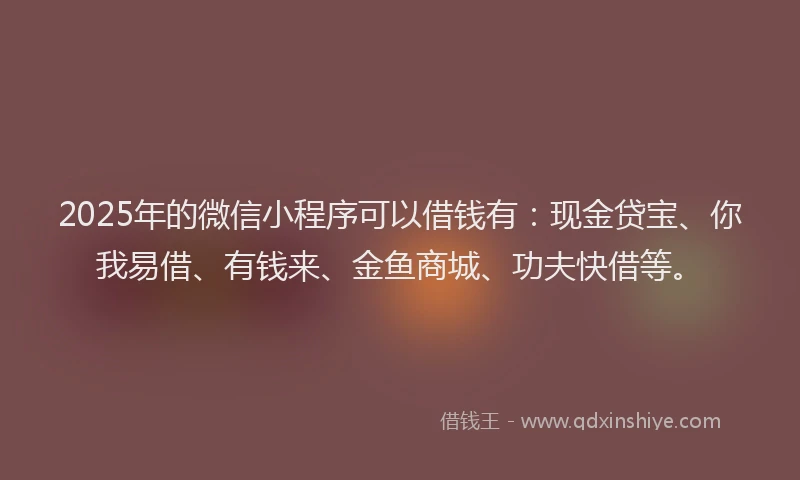 2025年的微信小程序可以借钱有：现金贷宝、你我易借、有钱来、金鱼商城、功夫快借等。