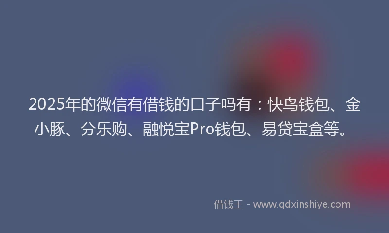 2025年的微信有借钱的口子吗有：快鸟钱包、金小豚、分乐购、融悦宝Pro钱包、易贷宝盒等。