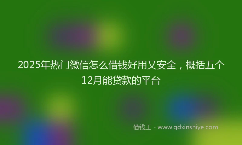 2025年热门微信怎么借钱好用又安全，概括五个12月能贷款的平台
