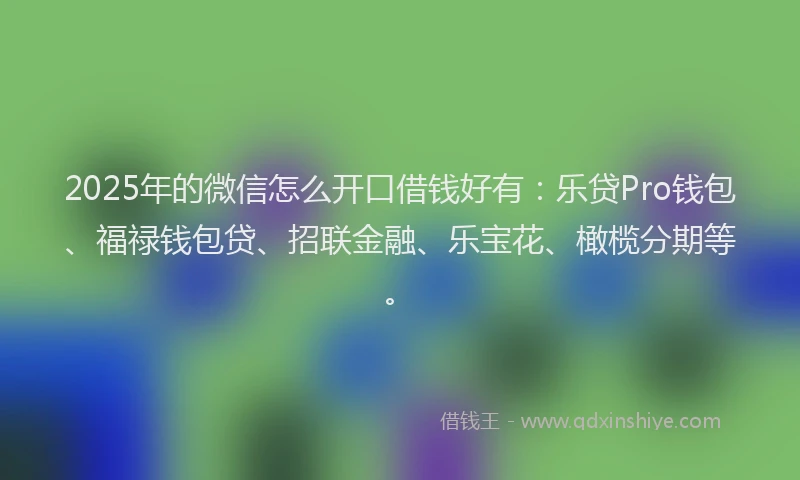 2025年的微信怎么开口借钱好有：乐贷Pro钱包、福禄钱包贷、招联金融、乐宝花、橄榄分期等。
