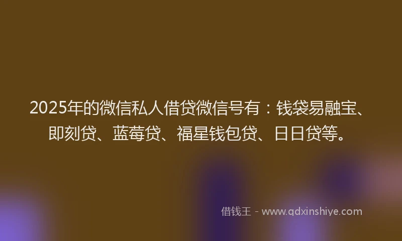 2025年的微信私人借贷微信号有:钱袋易融宝、即刻贷、蓝莓贷、福星钱包贷、日日贷等。