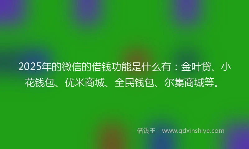 2025年的微信的借钱功能是什么有：金叶贷、小花钱包、优米商城、全民钱包、尔集商城等。