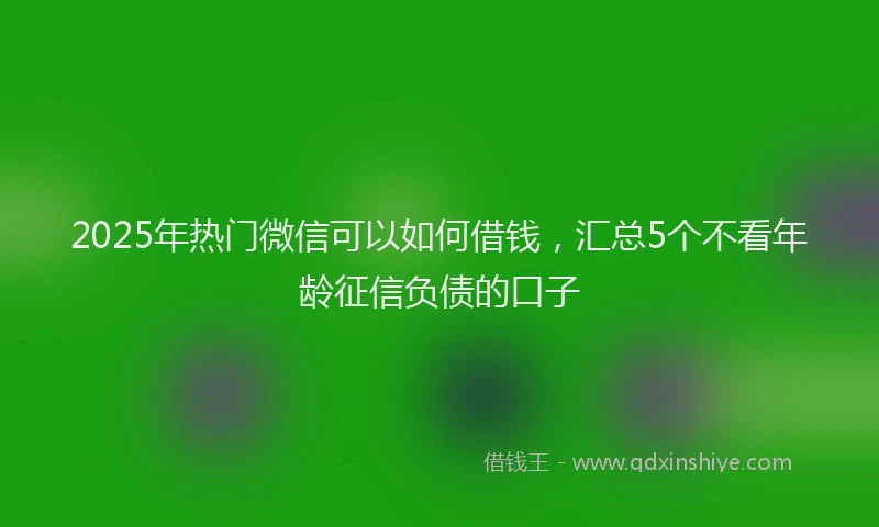 2025年热门微信可以如何借钱，汇总5个不看年龄征信负债的口子