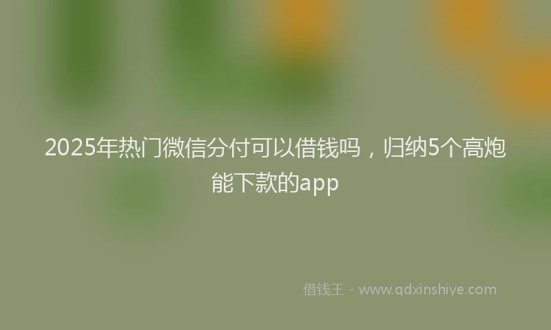2025年热门微信分付可以借钱吗，归纳5个高炮能下款的app