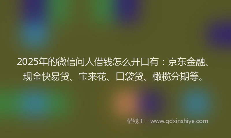 2025年的微信问人借钱怎么开口有：京东金融、现金快易贷、宝来花、口袋贷、橄榄分期等。