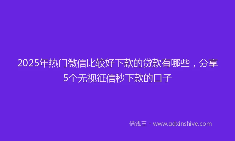 2025年热门微信比较好下款的贷款有哪些，分享5个无视征信秒下款的口子