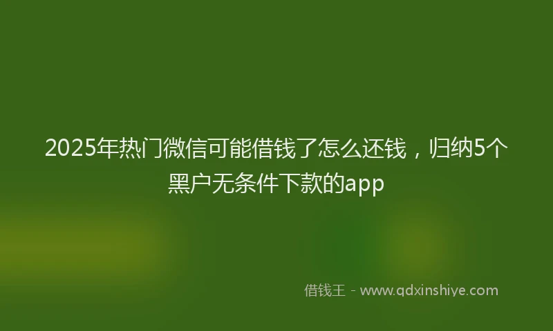 2025年热门微信可能借钱了怎么还钱，归纳5个黑户无条件下款的app