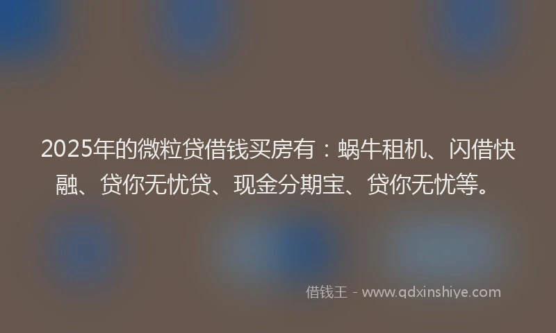2025年的微粒贷借钱买房有:蜗牛租机、闪借快融、贷你无忧贷、现金分期宝、贷你无忧等。