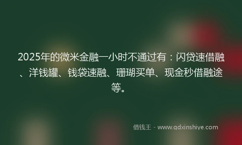 2025年的微米金融一小时不通过有：闪贷速借融、洋钱罐、钱袋速融、珊瑚买单、现金秒借融途等。