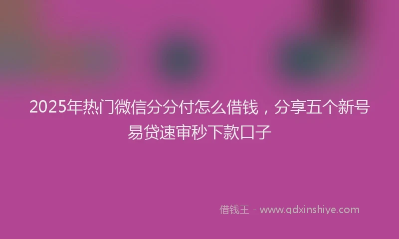 2025年热门微信分分付怎么借钱，分享五个新号易贷速审秒下款口子