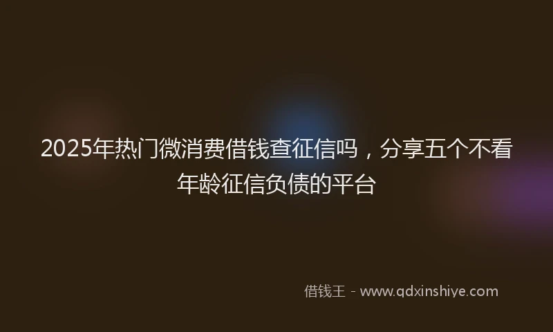 2025年热门微消费借钱查征信吗，分享五个不看年龄征信负债的平台