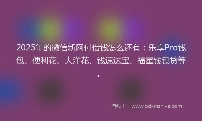 2025年的微信新网付借钱怎么还有：乐享Pro钱包、便利花、大洋花、钱速达宝、福星钱包贷等。