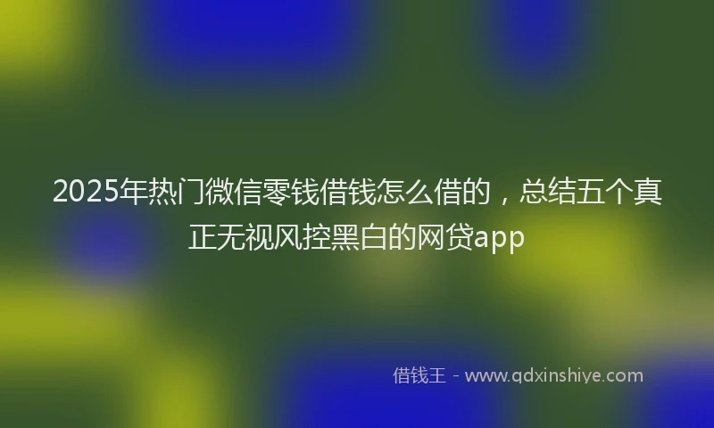 2025年热门微信零钱借钱怎么借的，总结五个真正无视风控黑白的网贷app