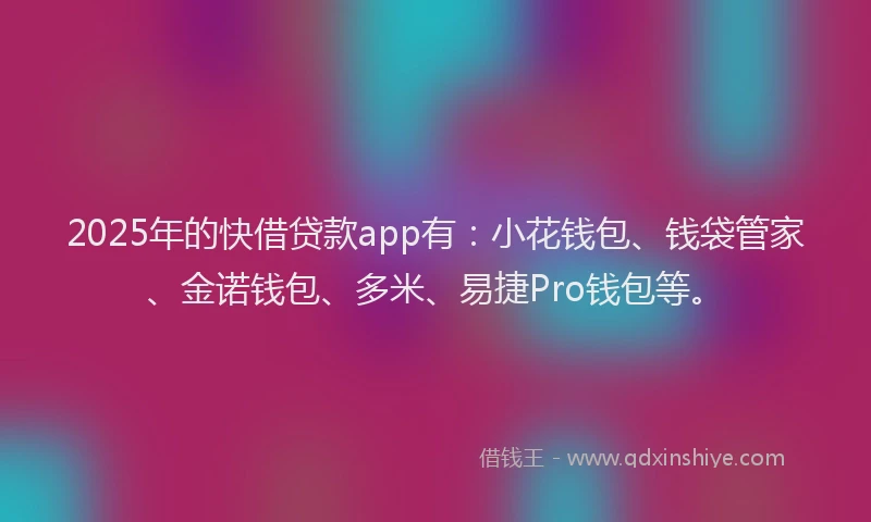 2025年的快借贷款app有：小花钱包、钱袋管家、金诺钱包、多米、易捷Pro钱包等。