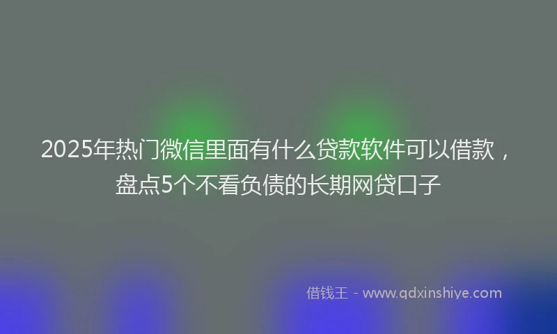 2025年热门微信里面有什么贷款软件可以借款，盘点5个不看负债的长期网贷口子
