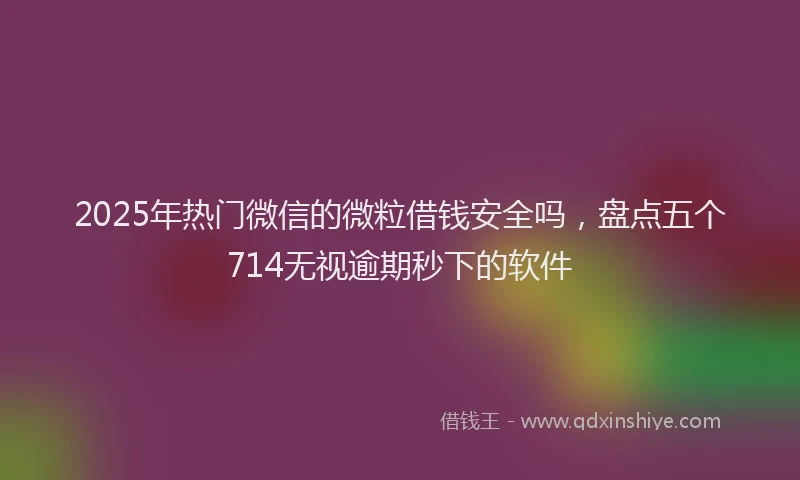 2025年热门微信的微粒借钱安全吗，盘点五个714无视逾期秒下的软件