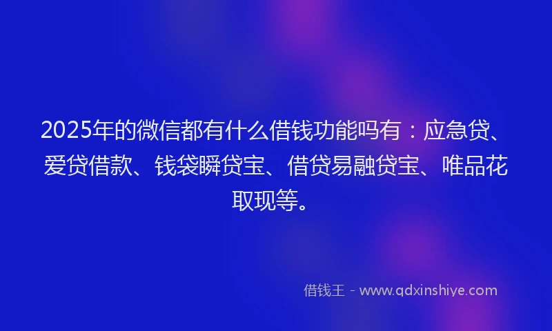 2025年的微信都有什么借钱功能吗有：应急贷、爱贷借款、钱袋瞬贷宝、借贷易融贷宝、唯品花取现等。