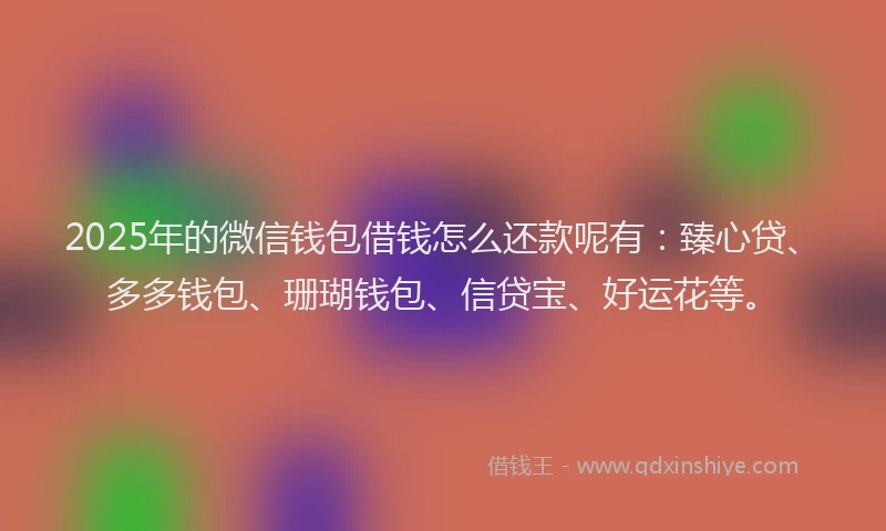 2025年的微信钱包借钱怎么还款呢有：臻心贷、多多钱包、珊瑚钱包、信贷宝、好运花等。