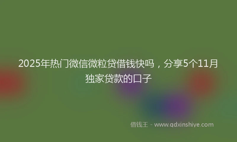 2025年热门微信微粒贷借钱快吗，分享5个11月独家贷款的口子
